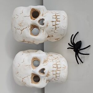White Skull Candle Holder Set